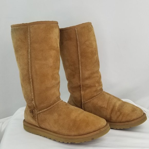 ugg 5815